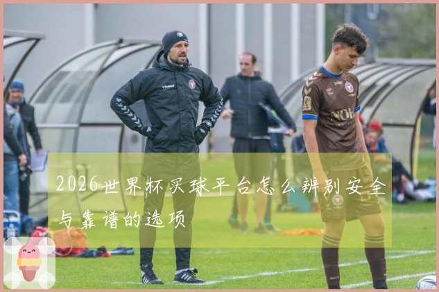 2026世界杯买球平台怎么辨别安全与靠谱的选项