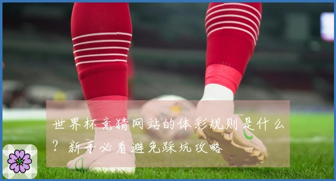 世界杯竞猜网站的体彩规则是什么？新手必看避免踩坑攻略