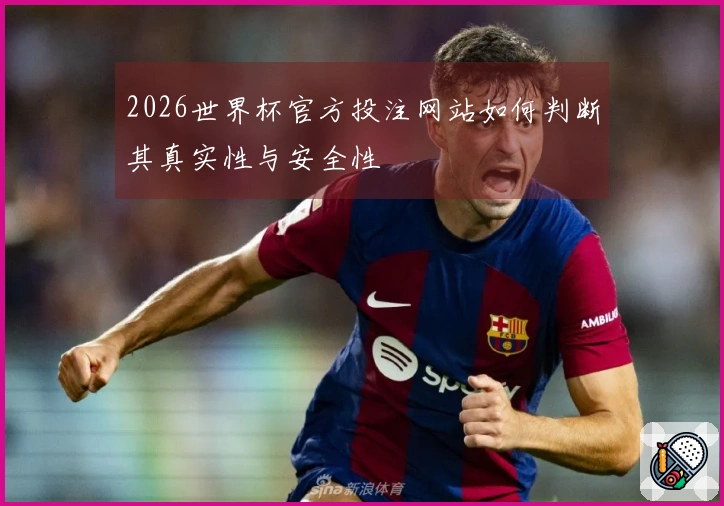 2026世界杯官方投注网站如何判断其真实性与安全性