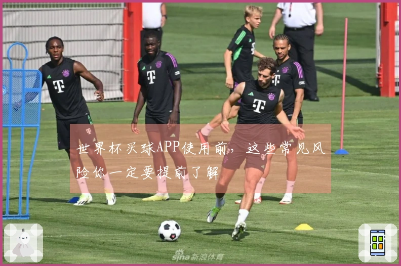 世界杯买球APP使用前，这些常见风险你一定要提前了解
