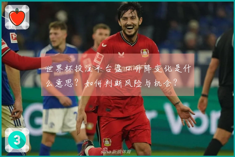 世界杯投注平台盘口升降变化是什么意思？如何判断风险与机会？