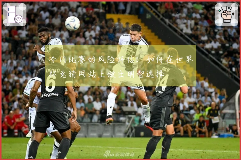 冷门比赛的风险评估：如何在世界杯竞猜网站上做出明智选择
