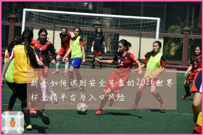 新手如何识别安全可靠的2026世界杯竞猜平台与入口风险