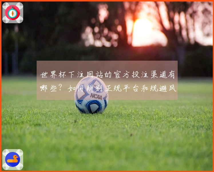 世界杯下注网站的官方投注渠道有哪些？如何辨别正规平台和规避风险
