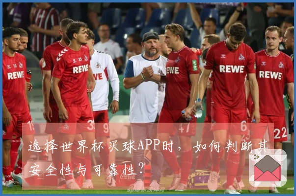 选择世界杯买球APP时，如何判断其安全性与可靠性？