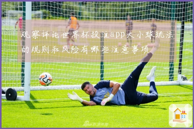 观察评论世界杯投注app大小球玩法的规则和风险有哪些注意事项