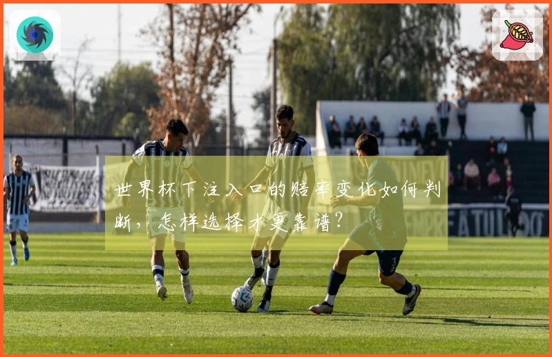 世界杯下注入口的赔率变化如何判断，怎样选择才更靠谱？