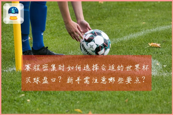 赛程密集时如何选择合适的世界杯买球盘口？新手需注意哪些要点？