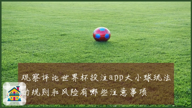 观察评论世界杯投注app大小球玩法的规则和风险有哪些注意事项