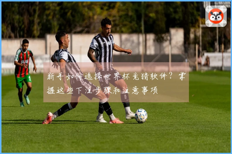 新手如何选择世界杯竞猜软件？掌握这些下注步骤和注意事项