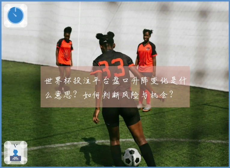 世界杯投注平台盘口升降变化是什么意思？如何判断风险与机会？